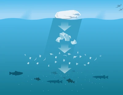 Illustration över hur plast delar sig till mikroplast i havet