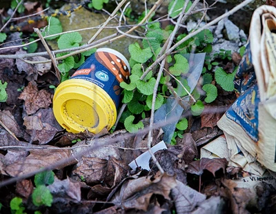 En take away-mugg ligger slängd i naturen