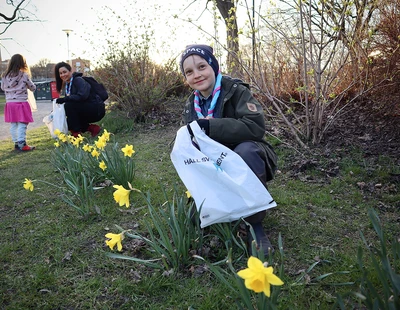 Brobergska Scoutkåren