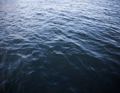 blått hav i lysekil