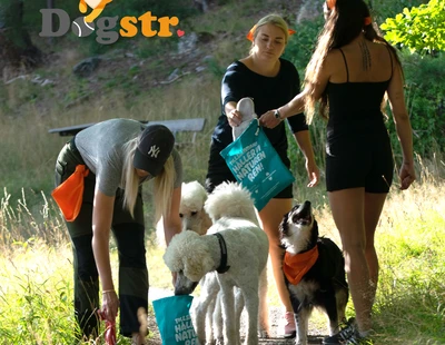 Dogstr plockar skräp. Foto: Dogstr