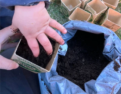 Förskolan Ugglan planterar