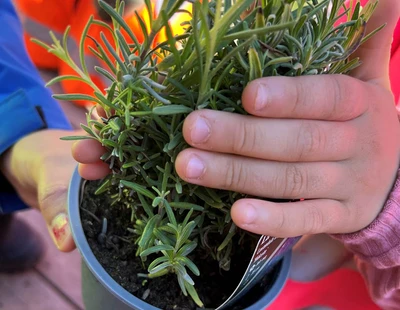 Källbackens förskola