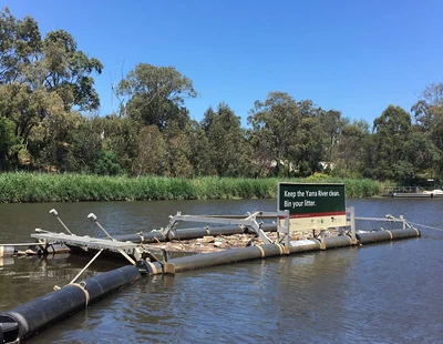 Bandalong litter trap