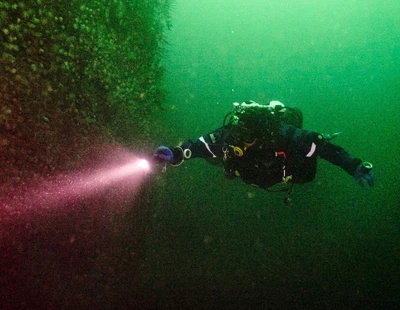 Janaina Rudberg dyker