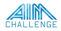 Logotyp AIM Challenge