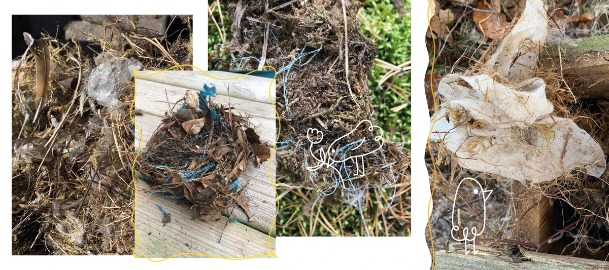 Städa en Fågelholk deltagarbilder