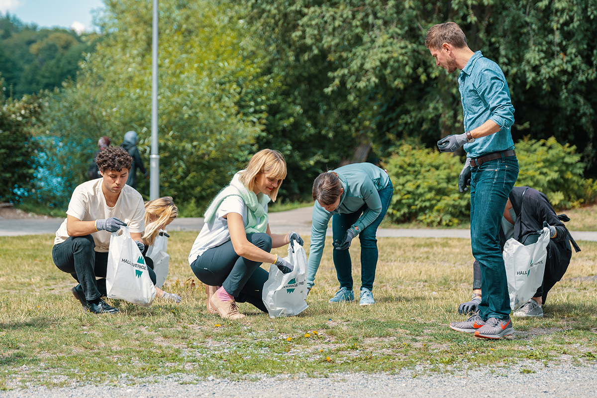 Fem personer plockar skräp i vita påsar på en gräsmatta.