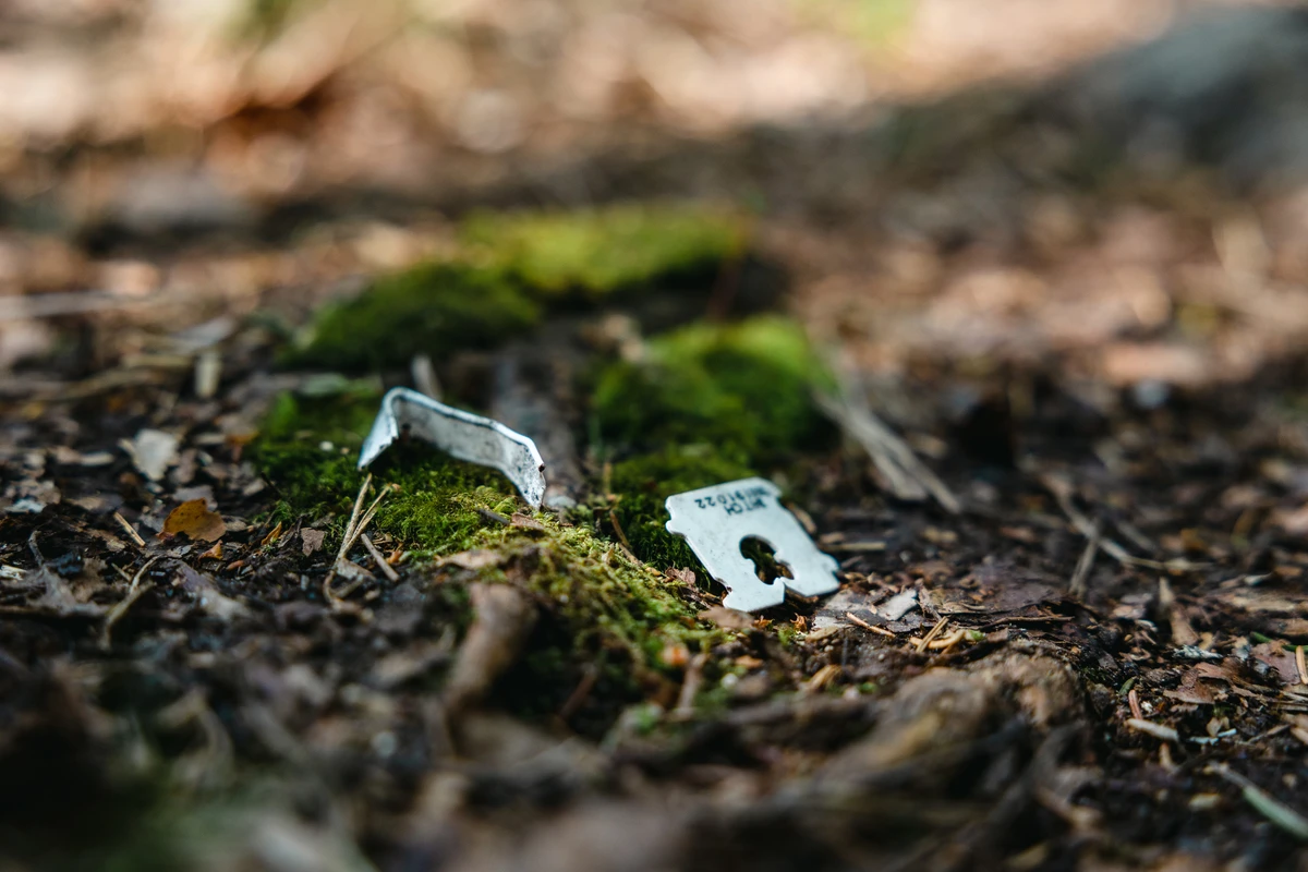 Påsklämmor i naturen