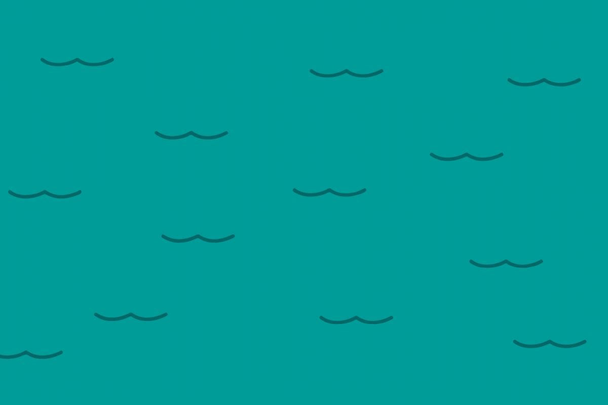 Havsallinasen illustration hav