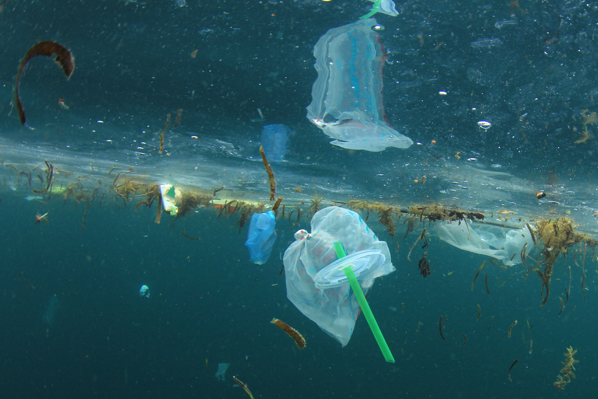 Nordic Coastal Cleanup - skräp i havet