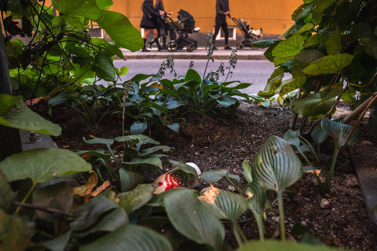 Skräp ligger i en buske