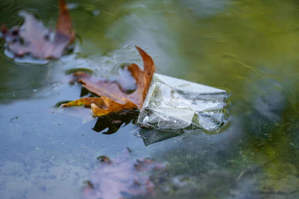 Plastskräp i vattnet