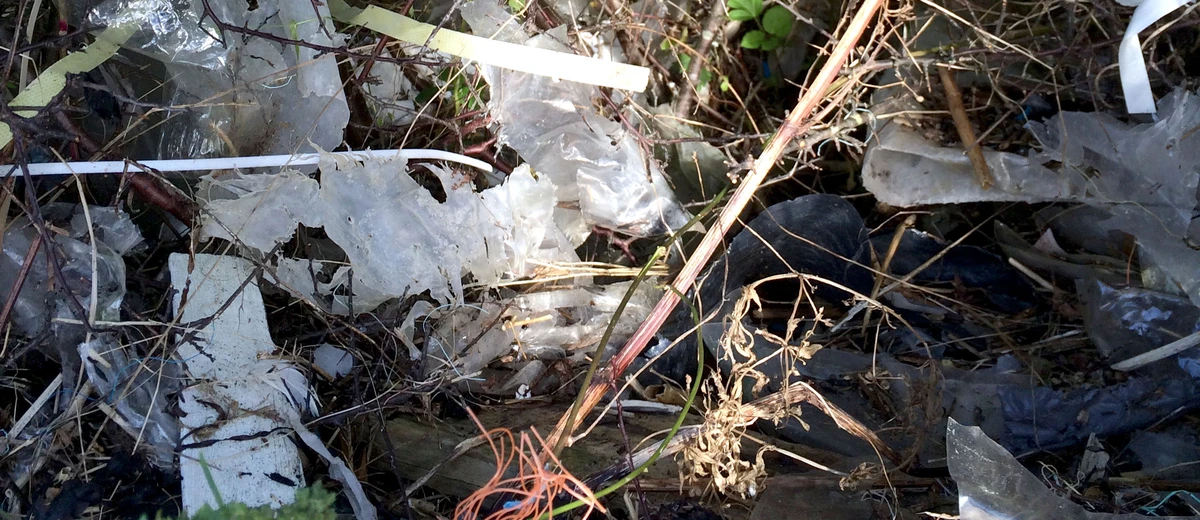 Plast i buskarna på ö i Bohuslän.