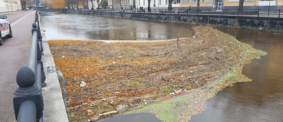Skräp och vass samlas vid länsen vid skräpmätning i Fyrisån. Foto: Uppsala Kommun