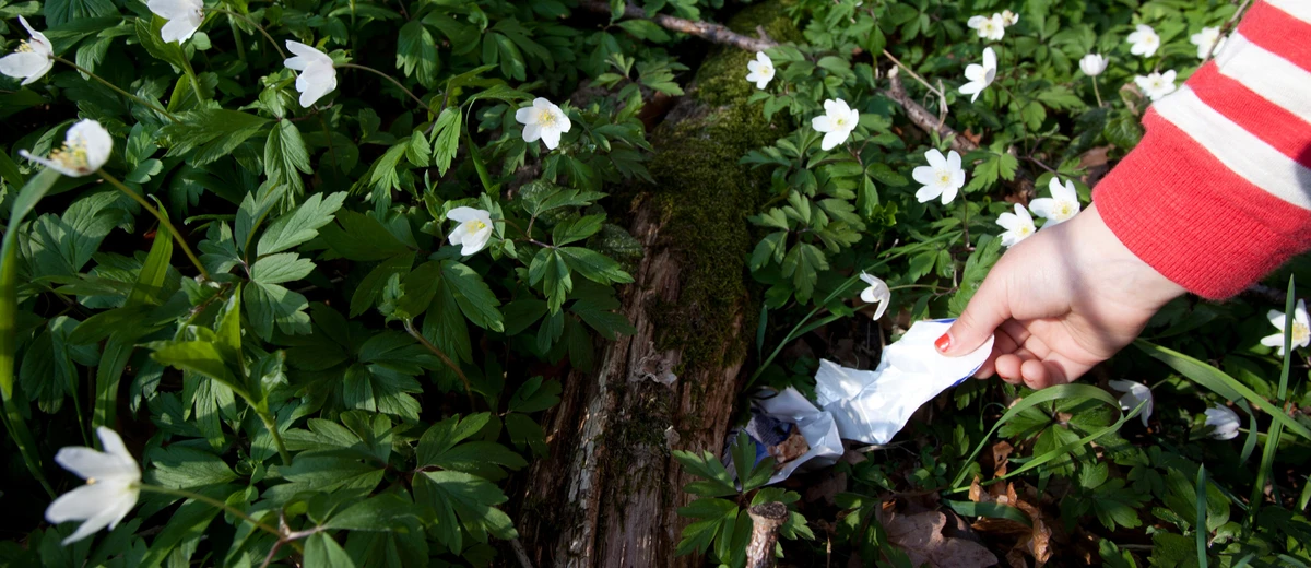 Hand håller i skräp i skog med vitsippor