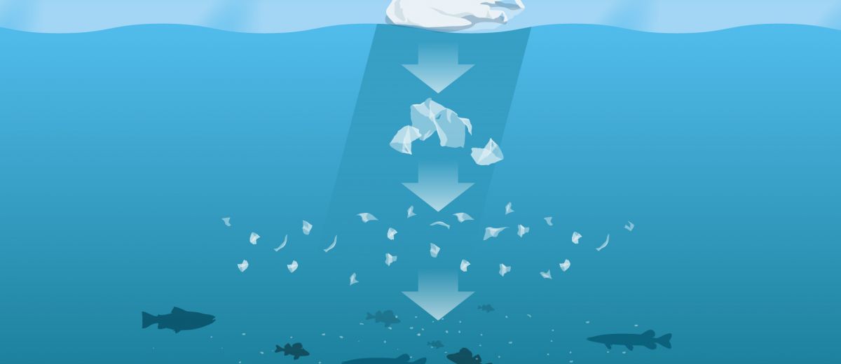 Illustration över hur plast delar sig till mikroplast i havet