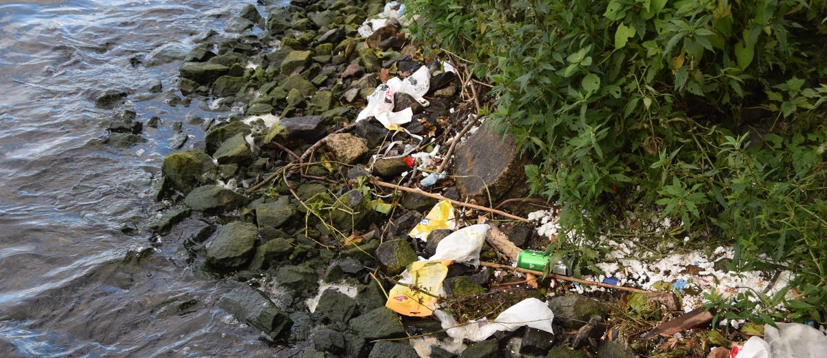 Skräp i vattenbrynet vid Mälaren