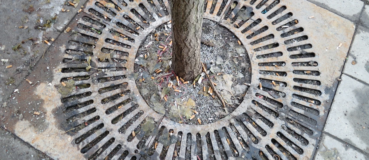 Fimpar ligger samlade på gatan