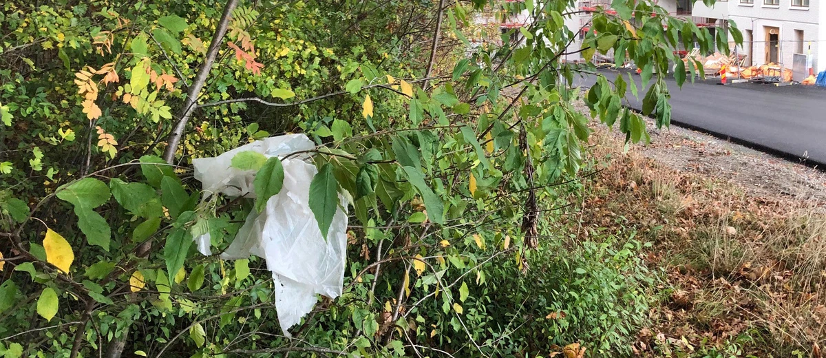 Plast i buske med byggarbetsplats i bakgrunden.