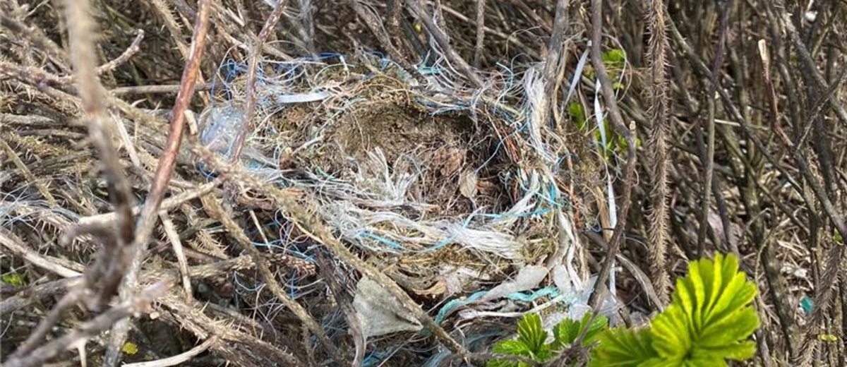 Foto: Mattias Sannerholm