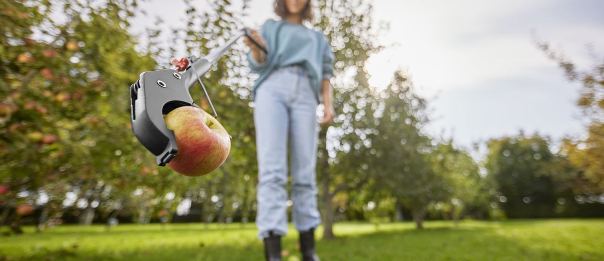 Kvinna plockar äpple med griptång