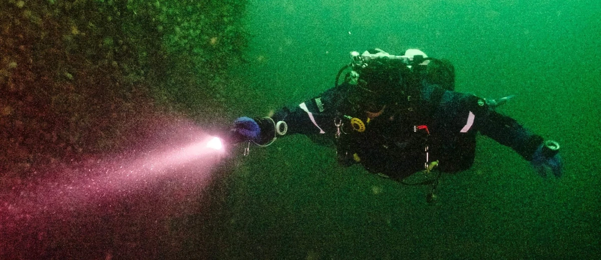 Janaina Rudberg dyker