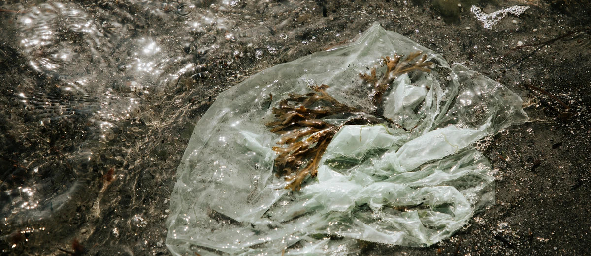 Plastpåse i havet