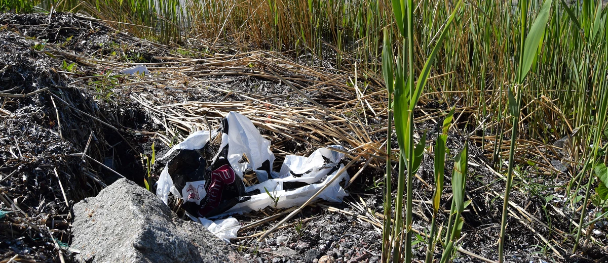 En plastpåse som ligger på marken vid havet