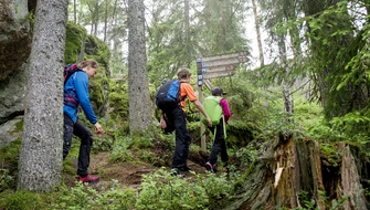Vandrare i naturen