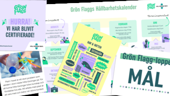 stödmaterial grön flagg