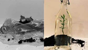 Handle with care, plastic is everywhere - bidrag i Unga Reportrar 2023