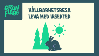 Hållbarhetsresa Leva med insekter