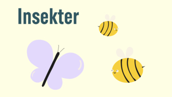 Grön Flagg insekter hållbarhetsdagen