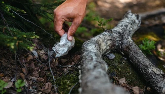 Våtservett i naturen