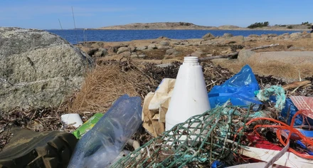 Plastflaskor och annat skräp på en strand på Bohuskusten