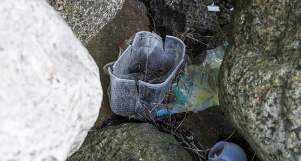 Plastskräp vid havet