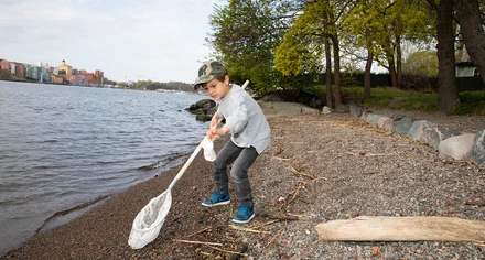 Prins Oscar plockar skräp