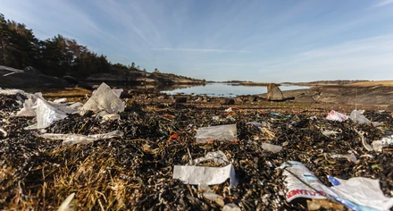 Bilden visar en strand där det är väldigt skräpigt