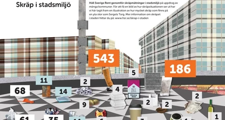 Så mycket skräp finns på en yta stor som Sergels torg