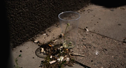 Några fimpar och en engångsmugg i plast ligger på marken