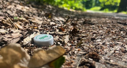 Plastkork som ligger och skräpar på marken