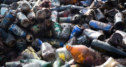 Mängder av burkar och flaskor som plockats upp från havets botten