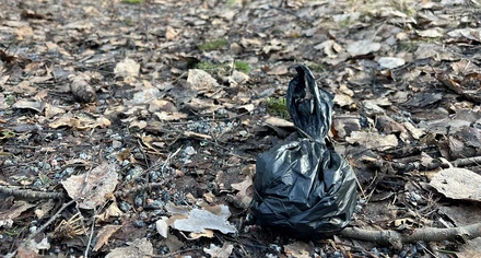 Hundbajspåse ligger och skräpar på marken