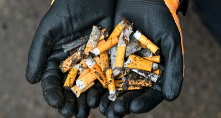 Händer med handskar som håller upp fimpar