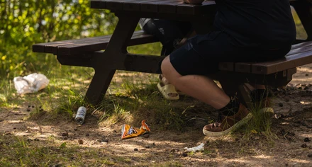 Skräp ligger på marken under parkbänk