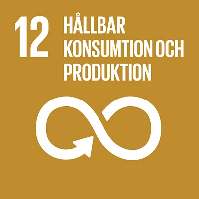 Globala målen nummer 12 - Hållbar konsumtion och produktion