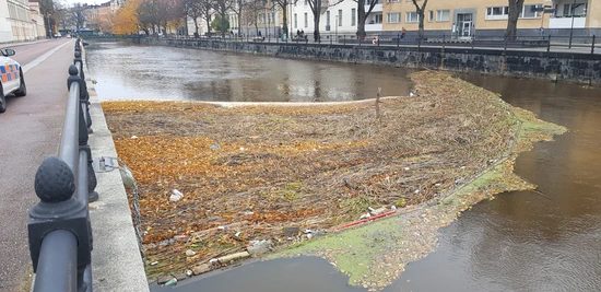 Skräp och vass samlas vid länsen vid skräpmätning i Fyrisån. Foto: Uppsala Kommun