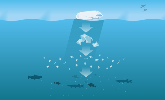 Illustration över hur plast delar sig till mikroplast i havet
