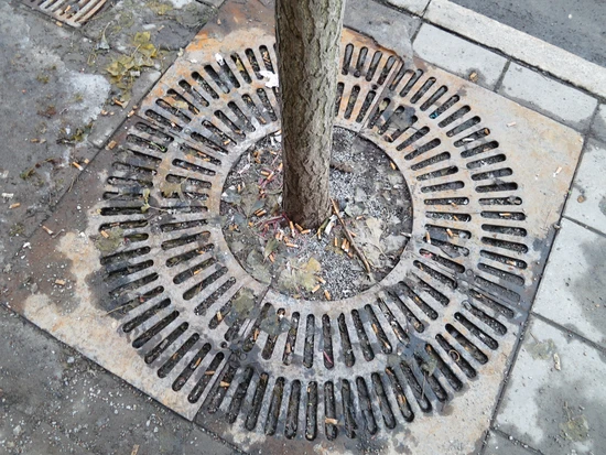 Fimpar ligger samlade på gatan